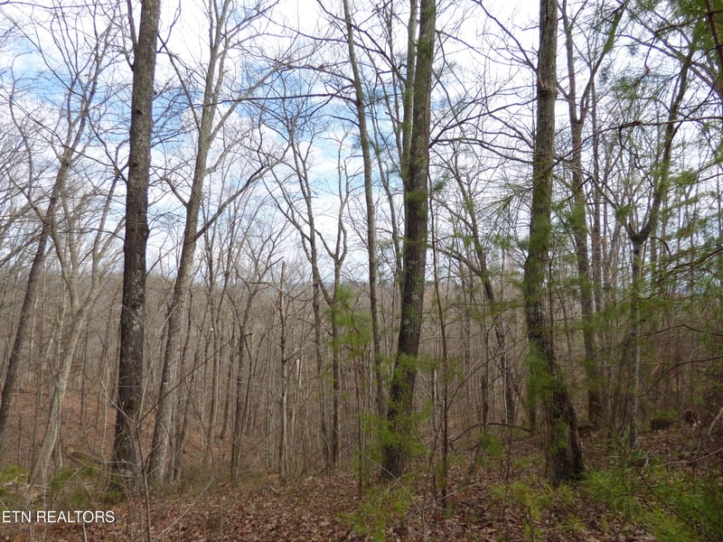 0 Bayside Blvd Lot 35, Bean Station, TN 37708