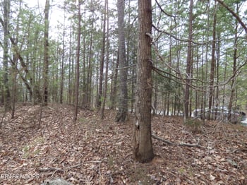 0 Bayside Blvd Lot 35, Bean Station, TN 37708
