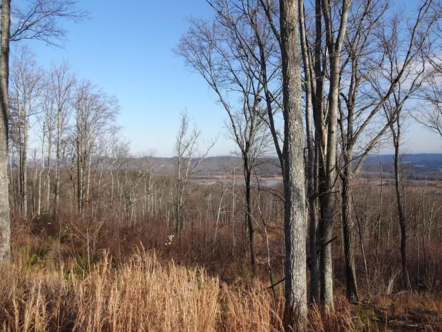 0 Bayside Blvd Lot 7 Blvd, Bean Station, TN 37708