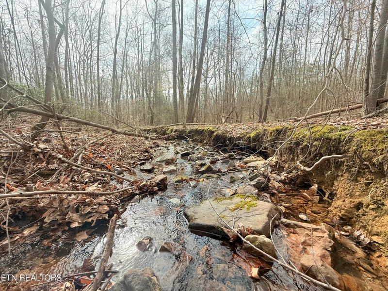 0 Bazel Rd, Harriman, TN 37748