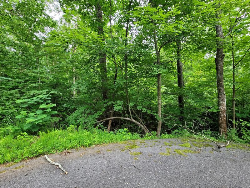 0 Beach Front Dr, Sevierville, TN 37876