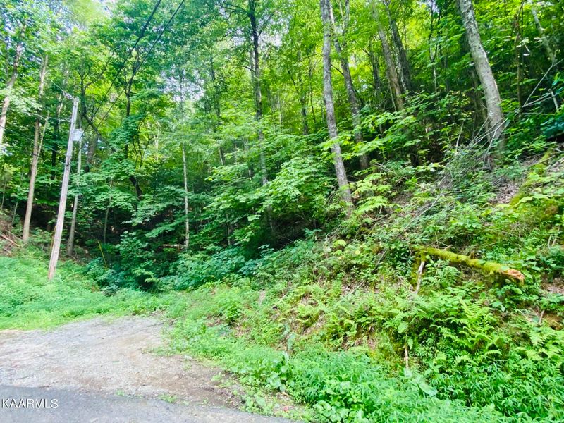 0 Beach Front Lot 1144 Dr, Sevierville, TN 37876