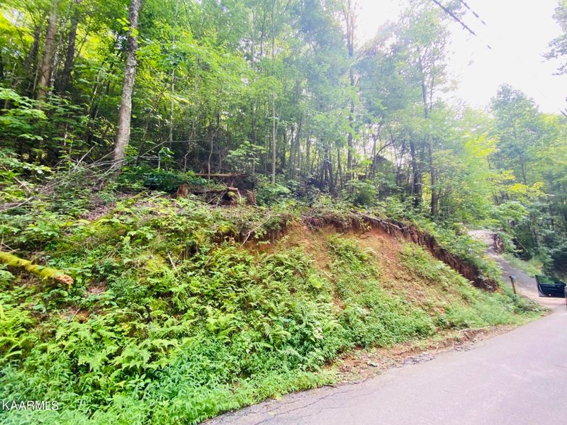 0 Beach Front Lot 1144 Dr, Sevierville, TN 37876