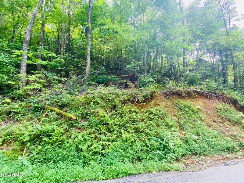 0 Beach Front Lot 1144 Dr, Sevierville, TN 37876
