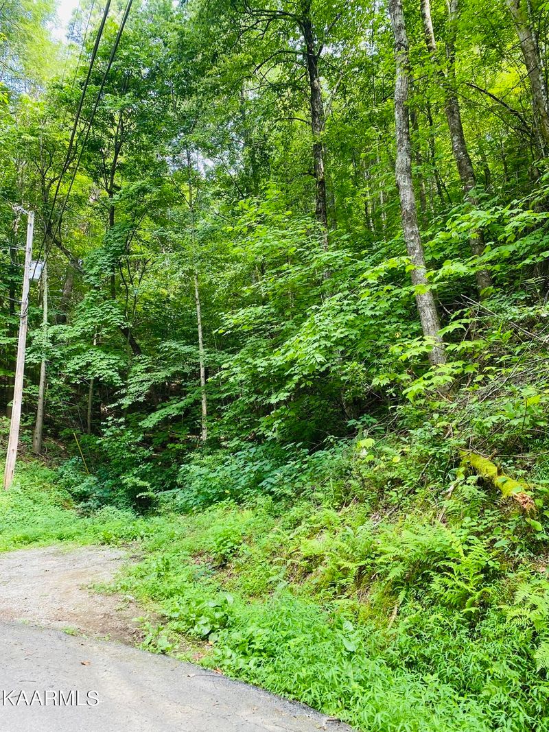 0 Beach Front Lot 1144 Dr, Sevierville, TN 37876