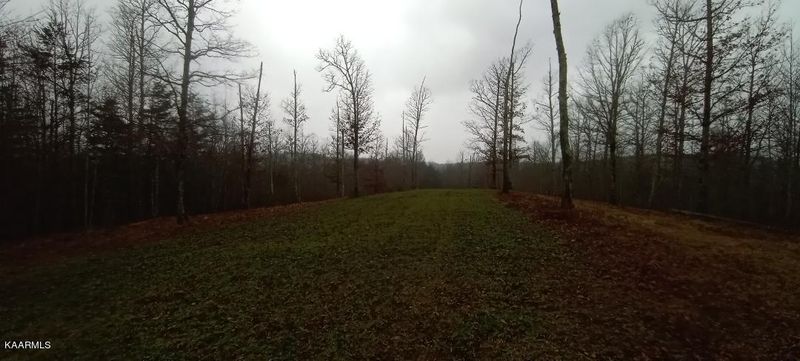0 Bear Crk, Oneida, TN 37841