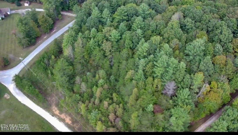 0 Bear Hollow Rd, Oneida, TN 37841