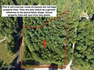 0 Bear Hollow Rd, Oneida, TN 37841