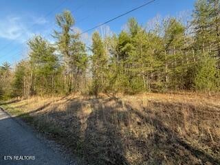 0 Bear Hollow Rd, Oneida, TN 37841