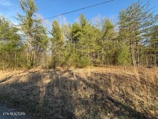 0 Bear Hollow Rd, Oneida, TN 37841