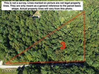 0 Bear Hollow Rd, Oneida, TN 37841