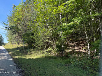 0 Bear Hollow Rd, Oneida, TN 37841