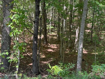 0 Bear Hollow Rd, Oneida, TN 37841