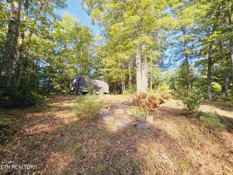 0 Bear Hollow Trl Rd, Oneida, TN 37841