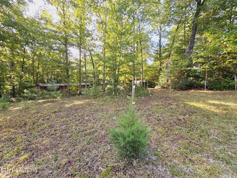 0 Bear Hollow Trl Rd, Oneida, TN 37841