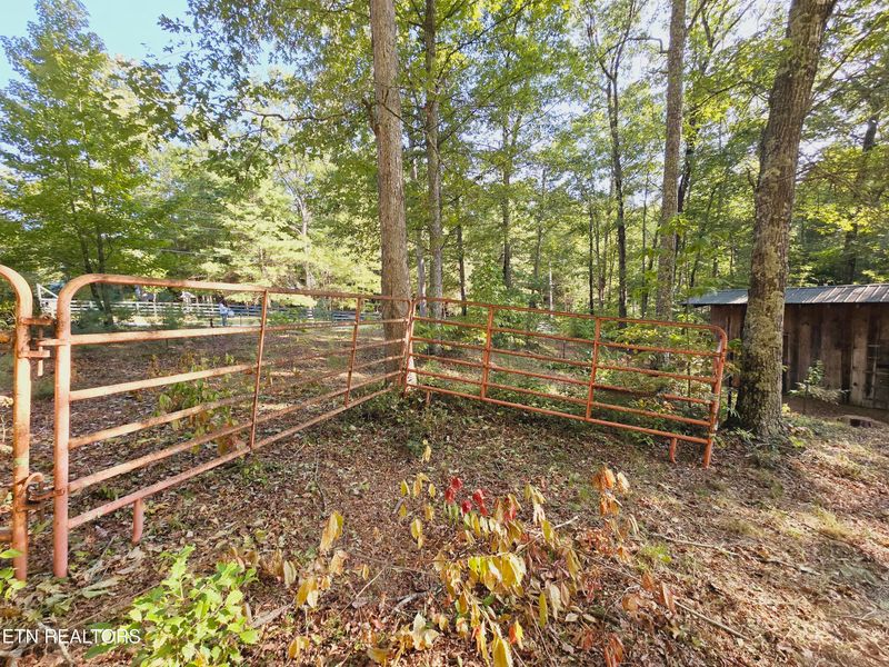 0 Bear Hollow Trl Rd, Oneida, TN 37841