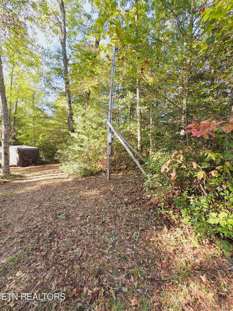 0 Bear Hollow Trl Rd, Oneida, TN 37841