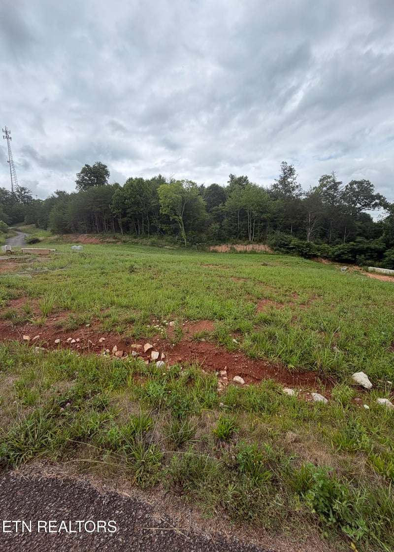 0 Bear Ln, Tellico Plains, TN 37385