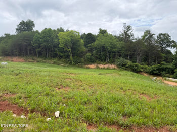 0 Bear Ln, Tellico Plains, TN 37385