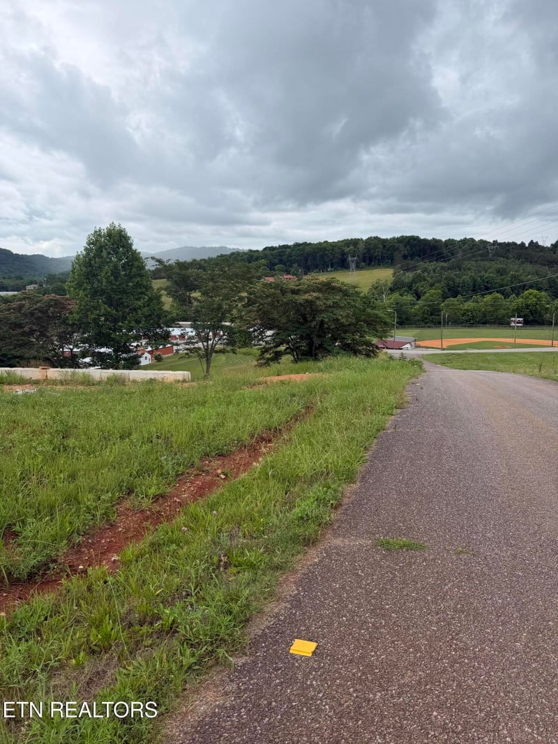 0 Bear Ln, Tellico Plains, TN 37385
