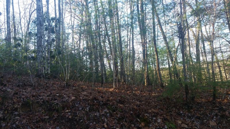 0 Bear Paw Rd, Walland, TN 37886