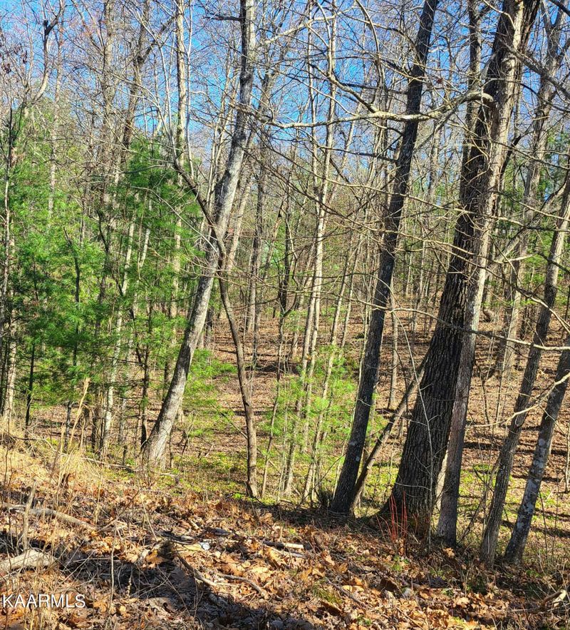 0 Bear Rd, Tallassee, TN 37878