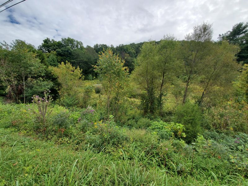 0 Beard Valley Rd, Maynardville, TN 37807