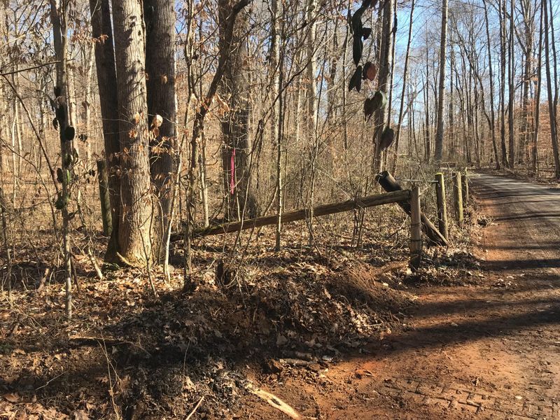 0 Beech Grove Looop, Sharps Chapel, TN 37866