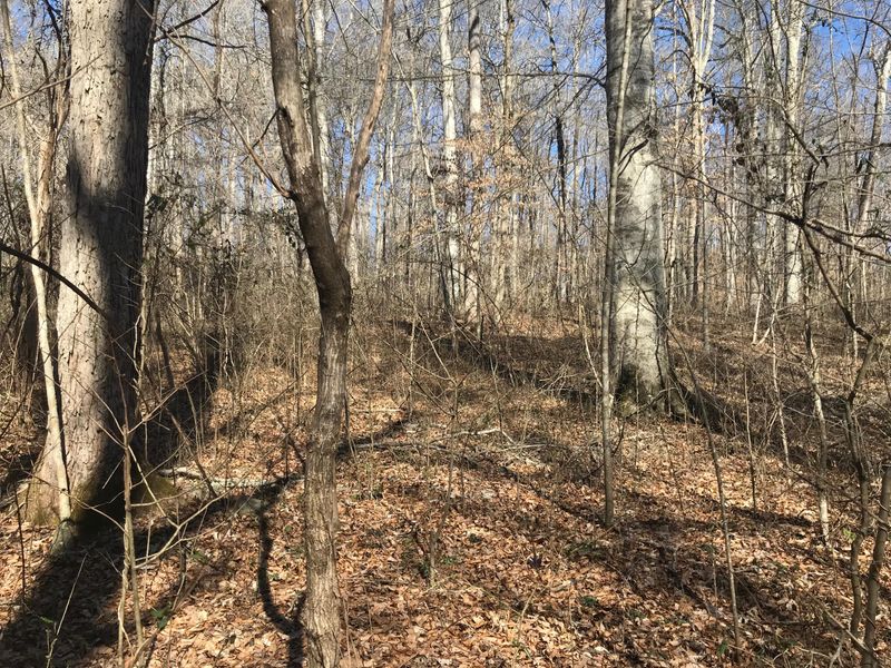 0 Beech Grove Looop, Sharps Chapel, TN 37866
