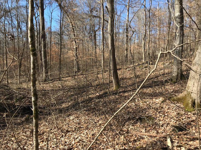 0 Beech Grove Looop, Sharps Chapel, TN 37866