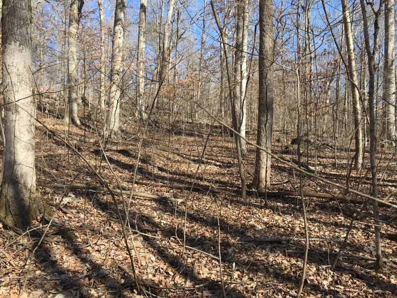 0 Beech Grove Looop, Sharps Chapel, TN 37866