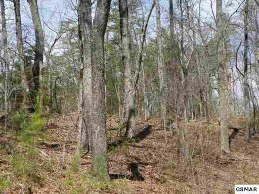 0 Beech Way, Sevierville, TN 37876