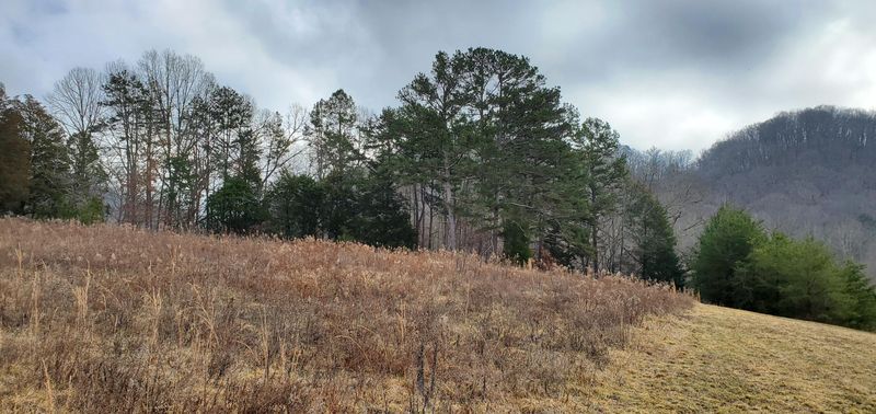 0 Beeler Rd, Maynardville, TN 37807