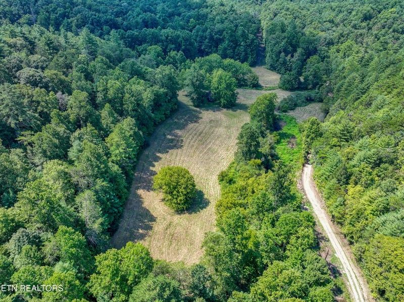 0 Belcher Loop, Tellico Plains, TN 37385