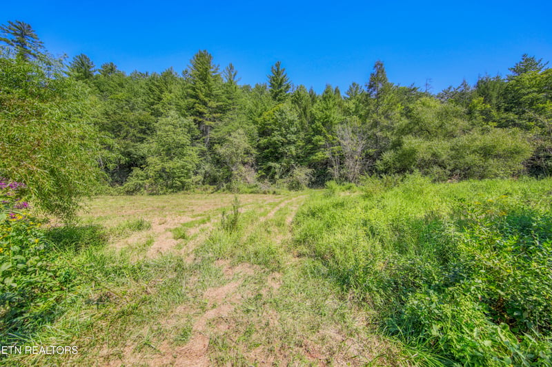 0 Belcher Loop, Tellico Plains, TN 37385