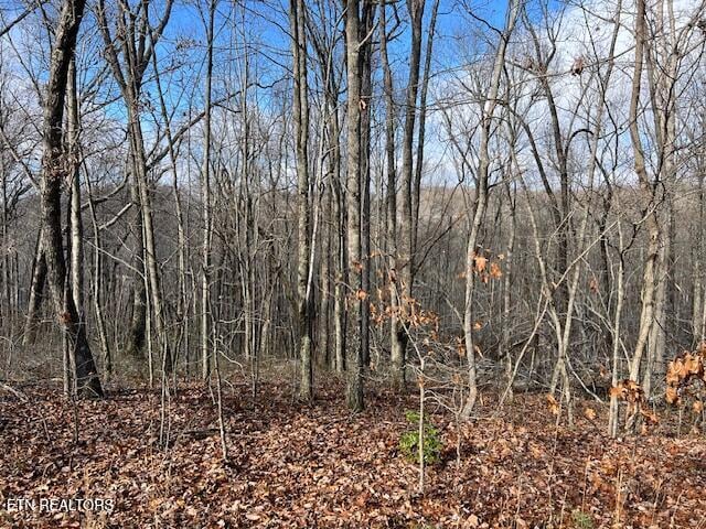0 Belmont Dr, Monterey, TN 38574