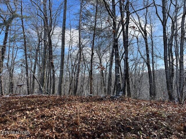 0 Belmont Dr, Monterey, TN 38574