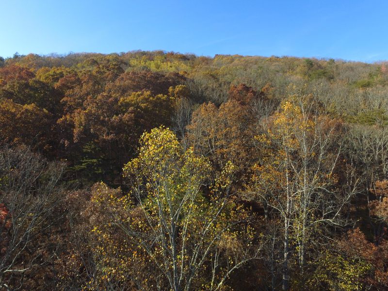 0 Ben Leonard Ln, Blaine, TN 37709