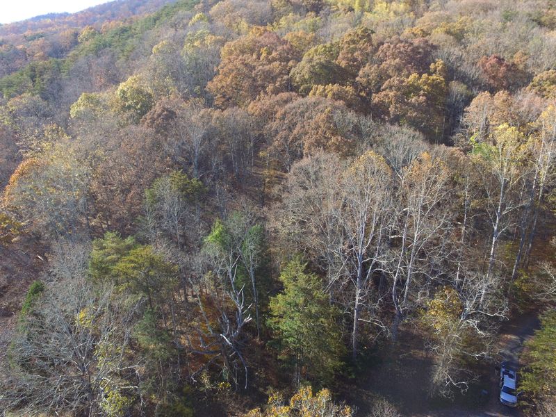 0 Ben Leonard Ln, Blaine, TN 37709