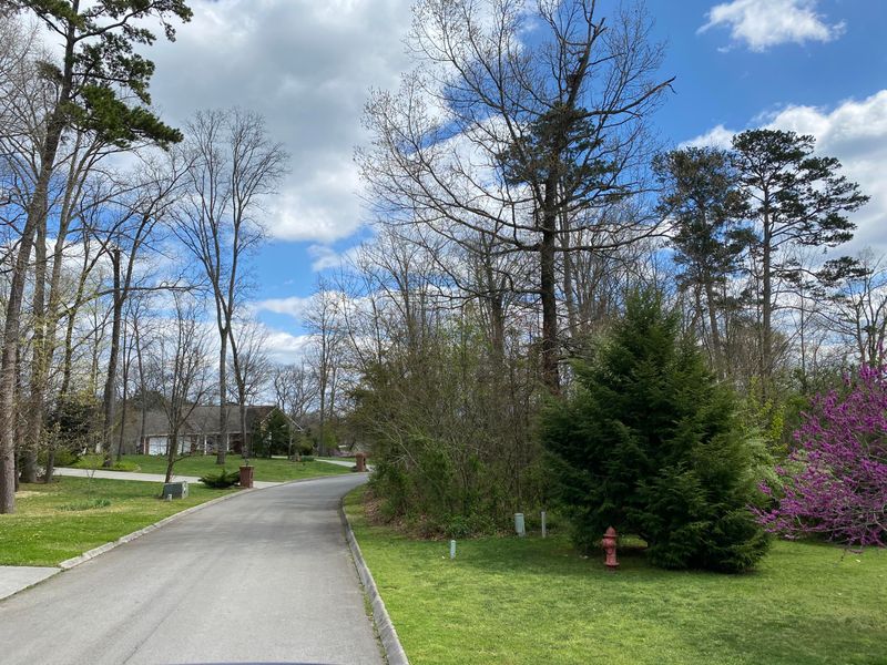 0 Benjamin Blvd, Sevierville, TN 37876