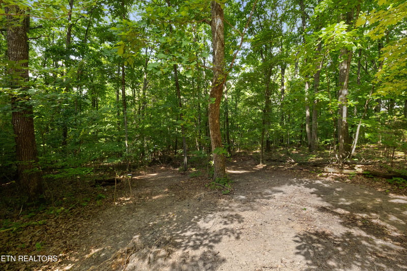 0 Bert Newman Ln #2r2, Knoxville, TN 37931