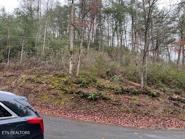 0 Big Buck Tr, Townsend, TN 37882