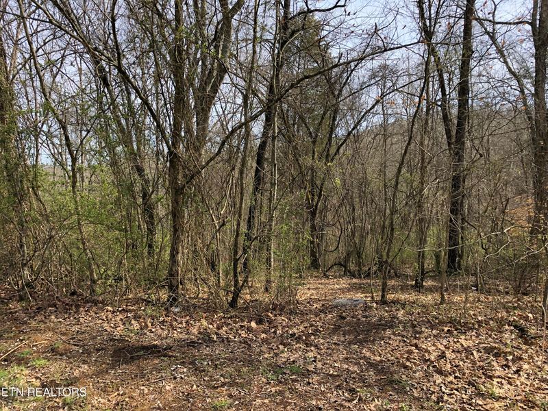 0 Big Chief Skyview Dr, Sevierville, TN 37876