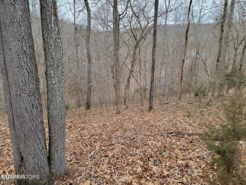 0 Big Creek Ln, Lafollette, TN 37766
