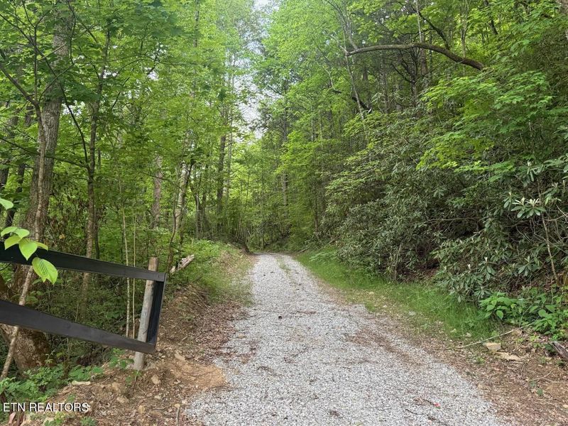 0 Big Four Rd, Lafollette, TN 37766