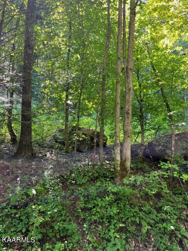 0 Big Four Rd Tract 2, Lafollette, TN 37766