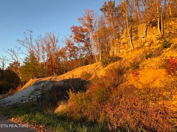 0 Big Ridge Rd, Oneida, TN 37841