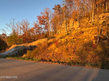 0 Big Ridge Rd, Oneida, TN 37841