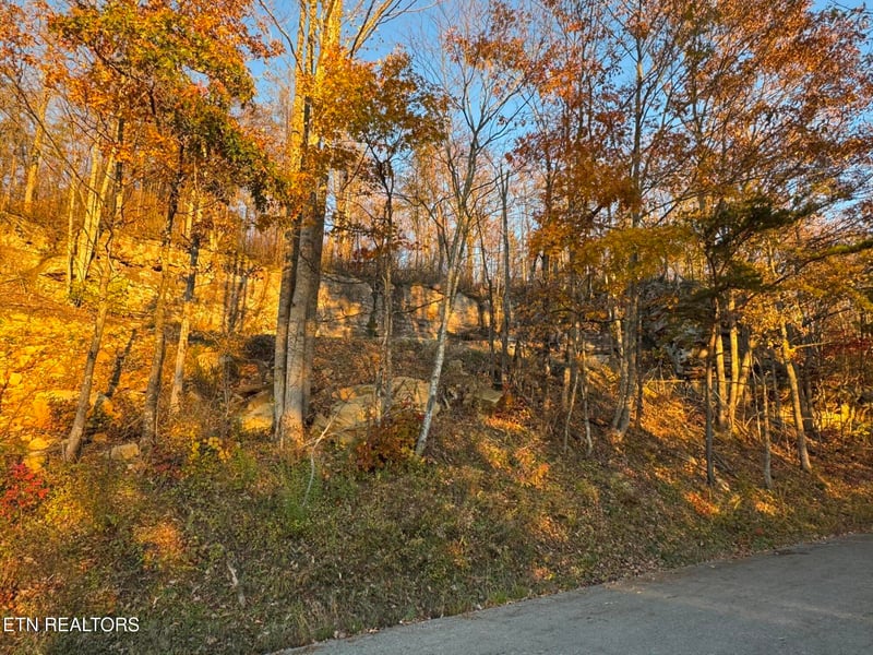 0 Big Ridge Rd, Oneida, TN 37841
