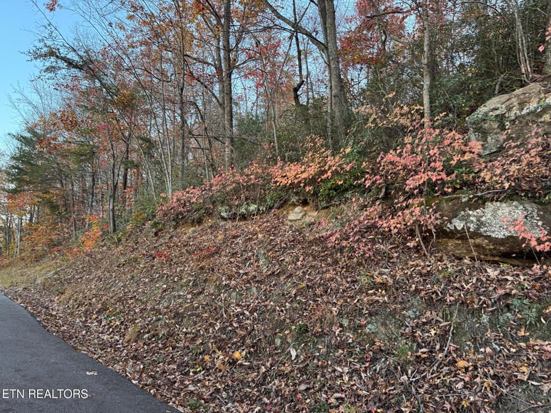 0 Big Ridge Rd, Oneida, TN 37841